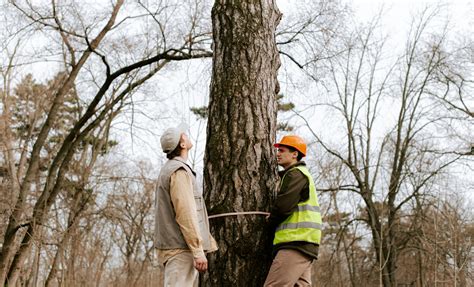 What to Know about Stakeout Surveying in .